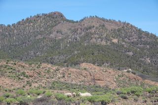 GC-Trek (Presa de Las Ninas-Soria) 2021-018.JPG
